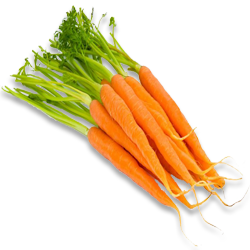 Carrot