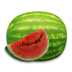 Water melon